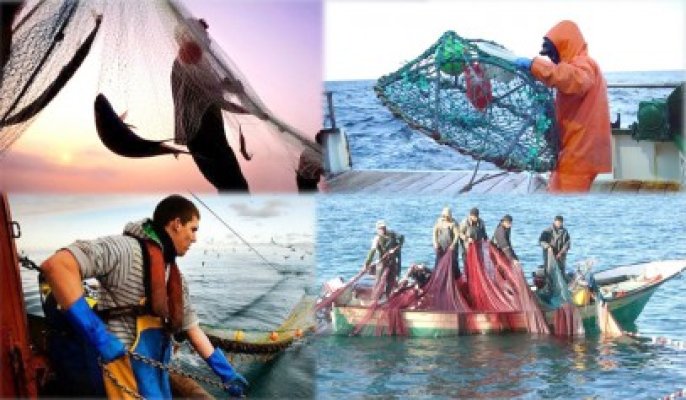 Soluţii de management pescăresc bazate pe abordarea ecosistemică